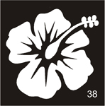 38