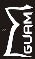 55